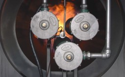 Picture24