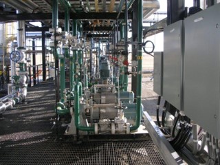 Picture8
